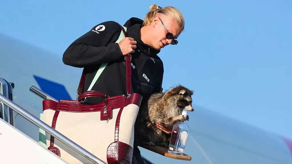 Haaland, teammates receive heroes’ welcome in Norway after World Cup exit